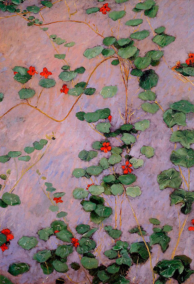 nasturtiums-1